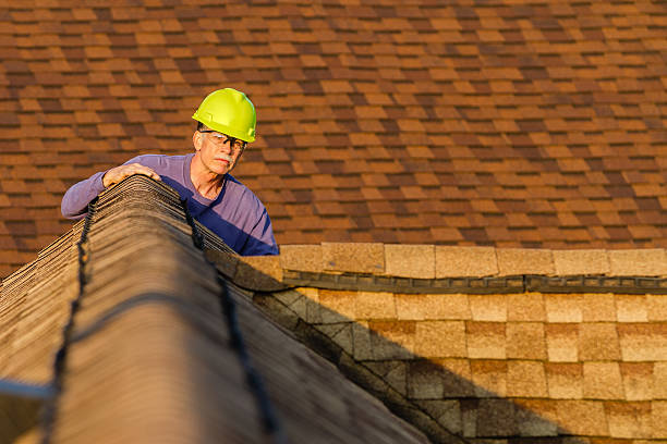 Quick and Trustworthy Emergency Roof Repair Services in Canby, MN